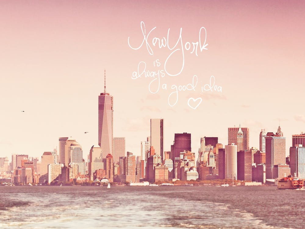 New York Skyline Rose in