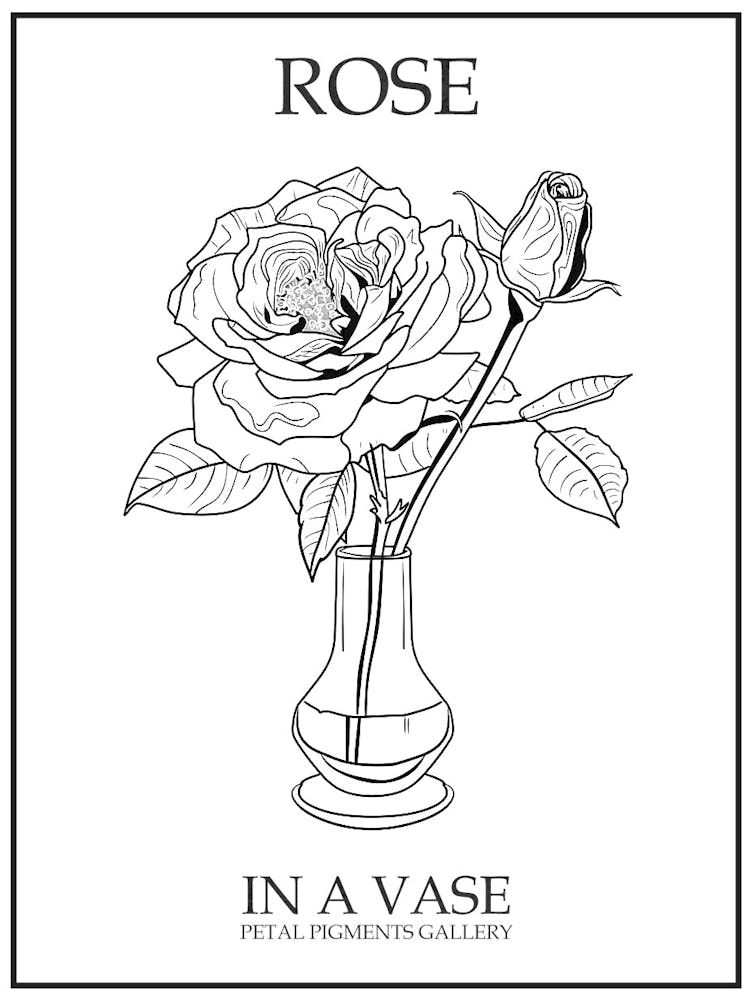 Rose In A Vase Line Drawing 3 Poster