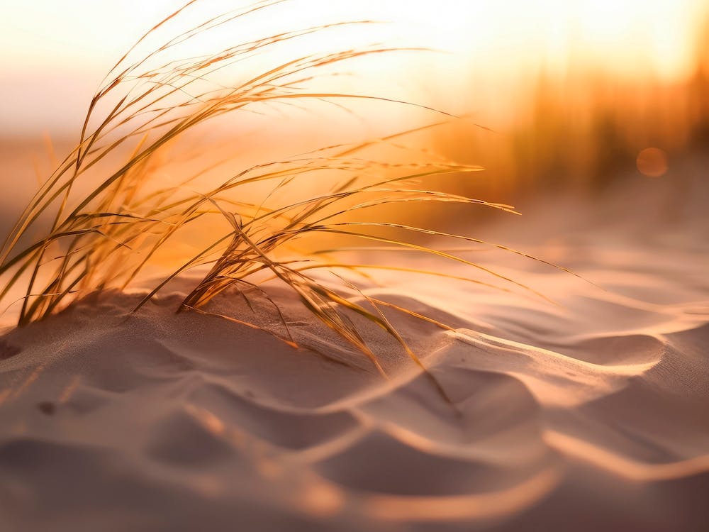 Beach Impressions No 37