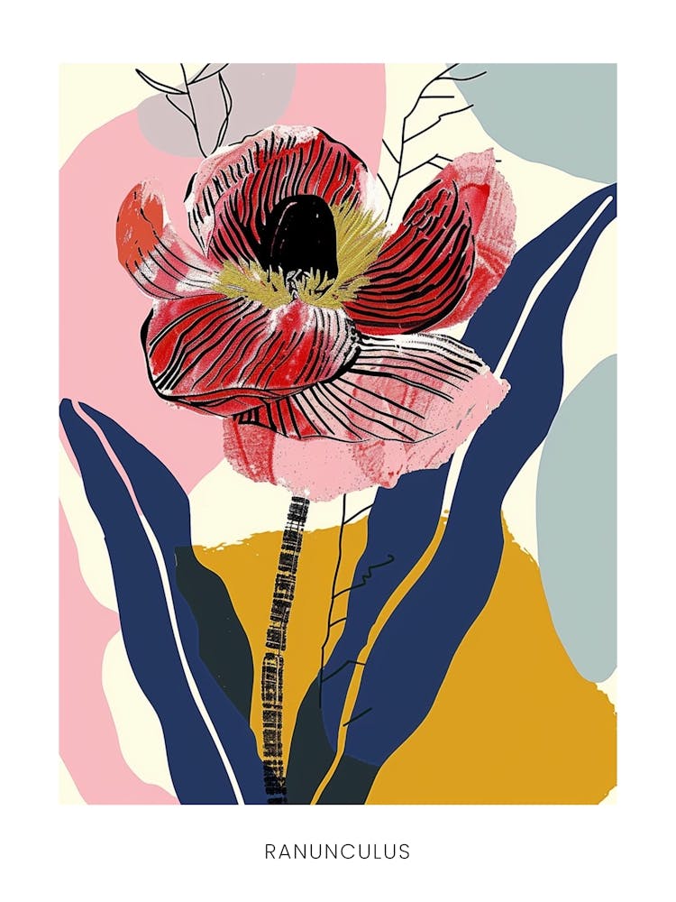 Colourful Flower Illustration Poster Ranunculus 1