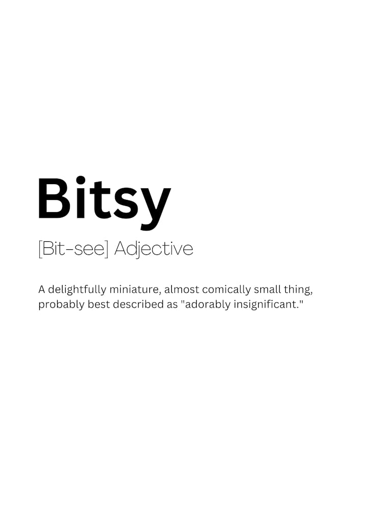 Bitsy Definition Bedeutung 1