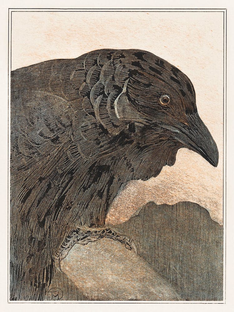 Crow (1878–1908), Theo Van Hoytema