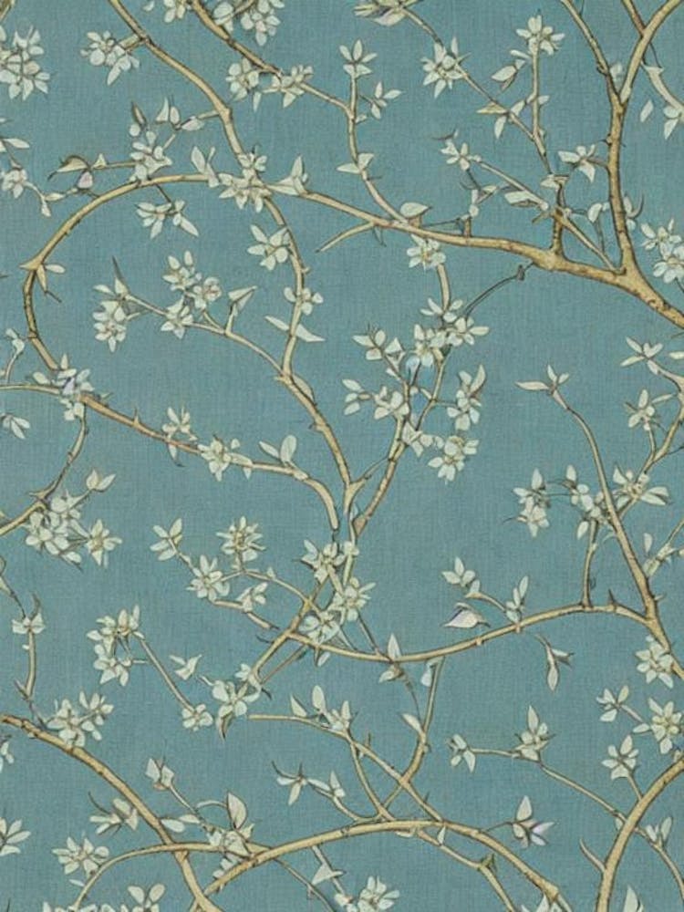 Cottonwood tree Vintage Botanical