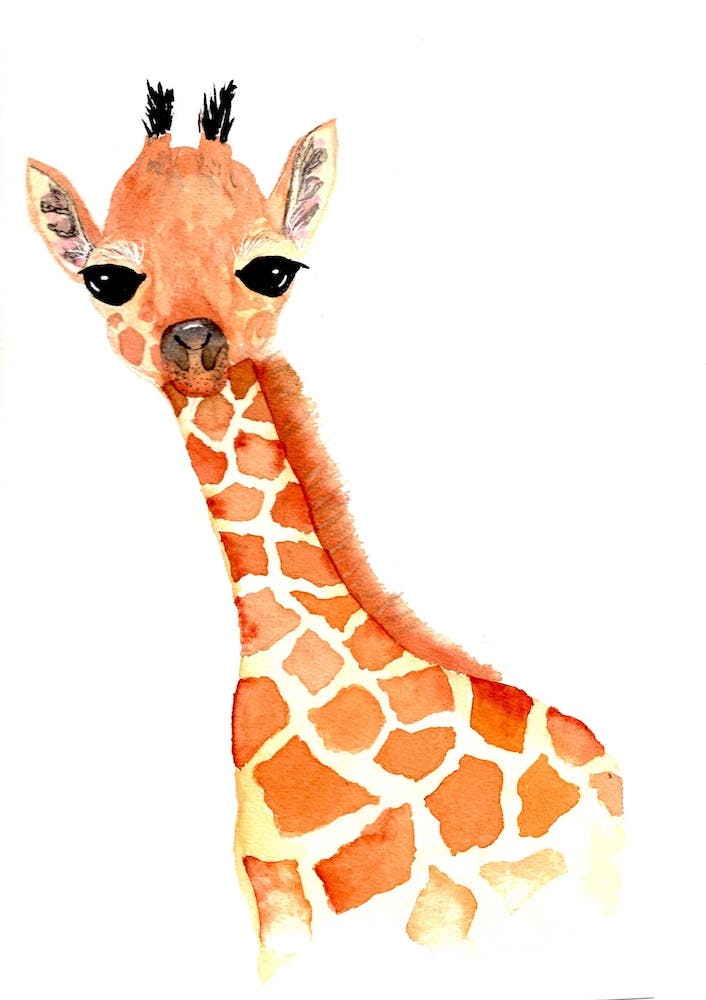 Bébé Girafe