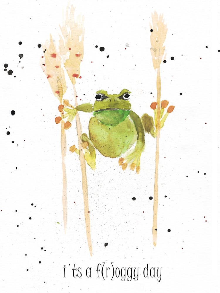 A Froggy Day