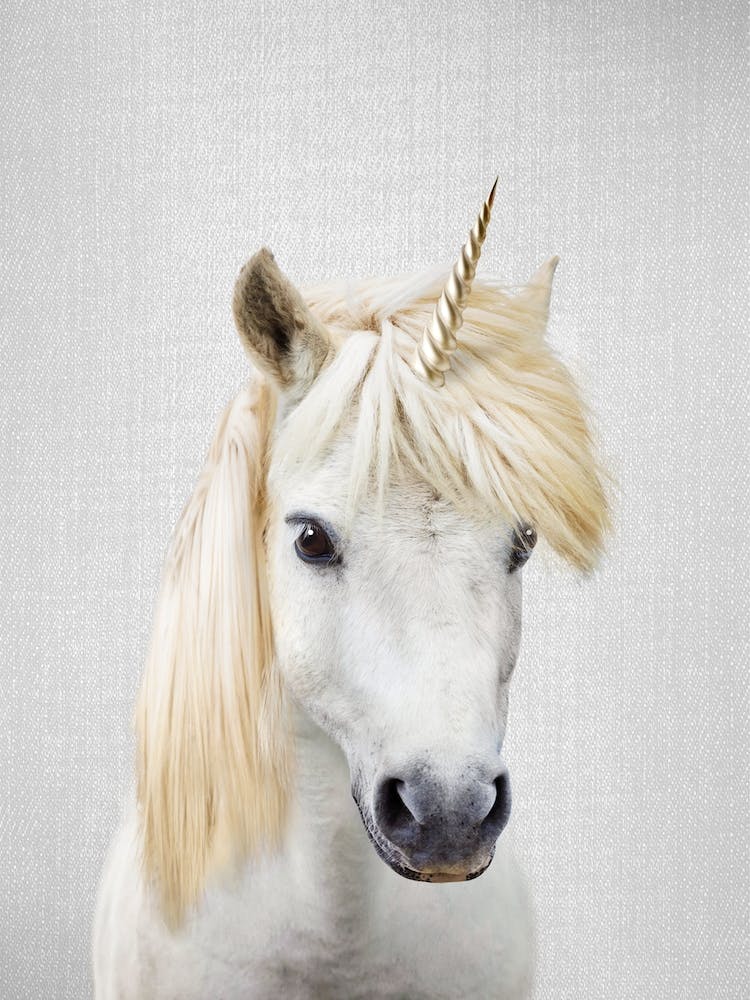 Licorne