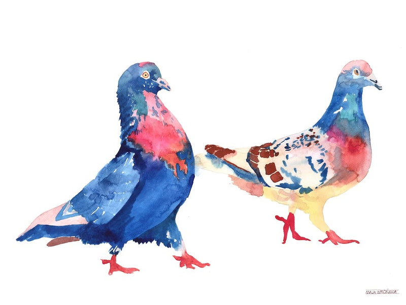 Pigeons
