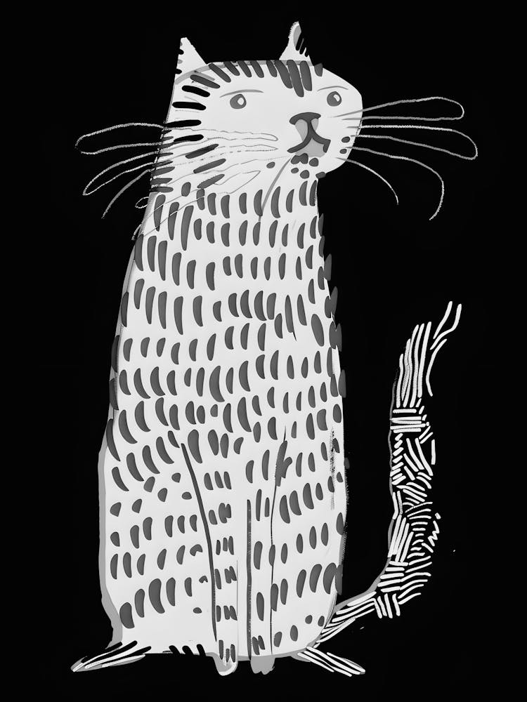 Cat In Black And White 1