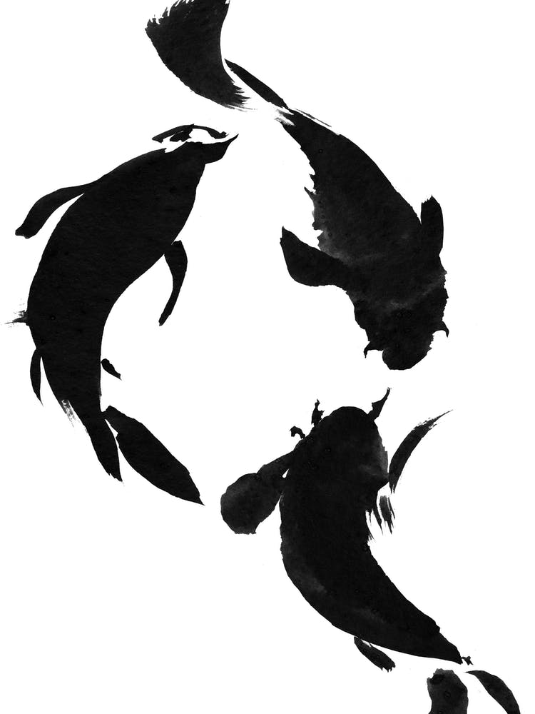 Koi 3