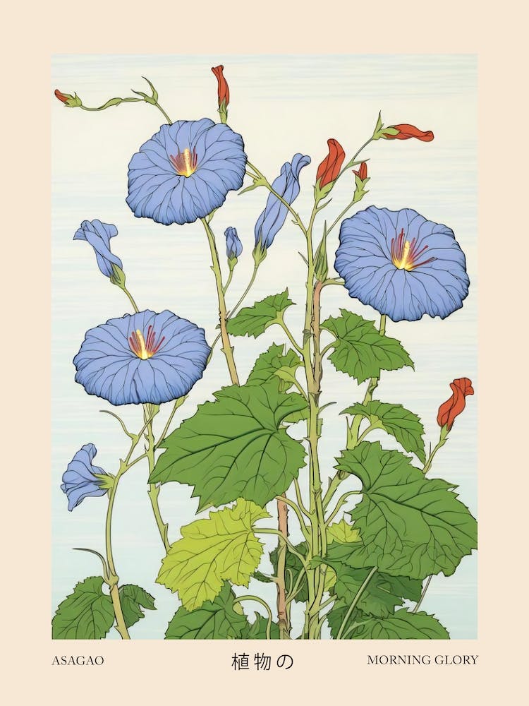 Asagao Morning Glory 4 Vintage Japanese Botanical Poster