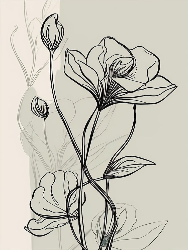 Lilies Line Art Flowers Illustration Neutral 15