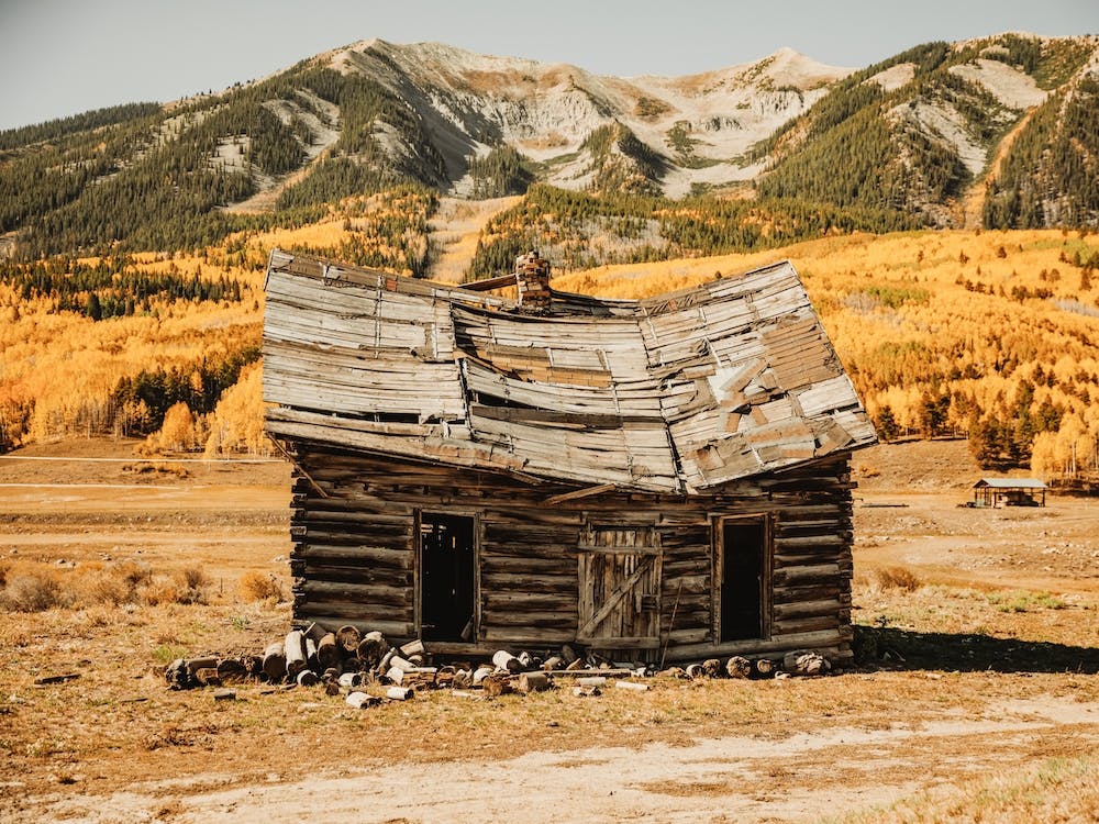 Abandoned Homestead Cabin