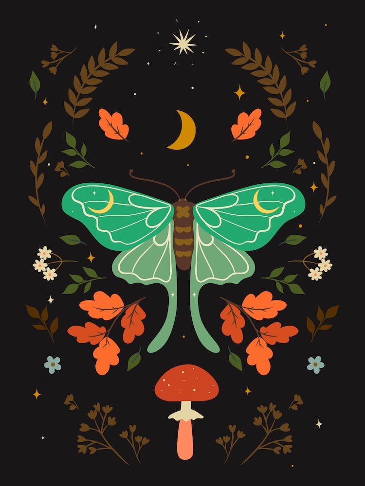 Moth Scandinavian Boho