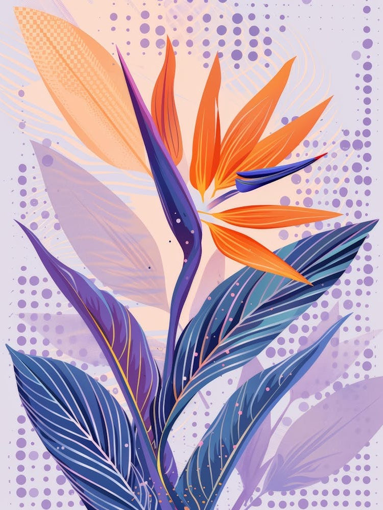 Bird Of Paradise Flower