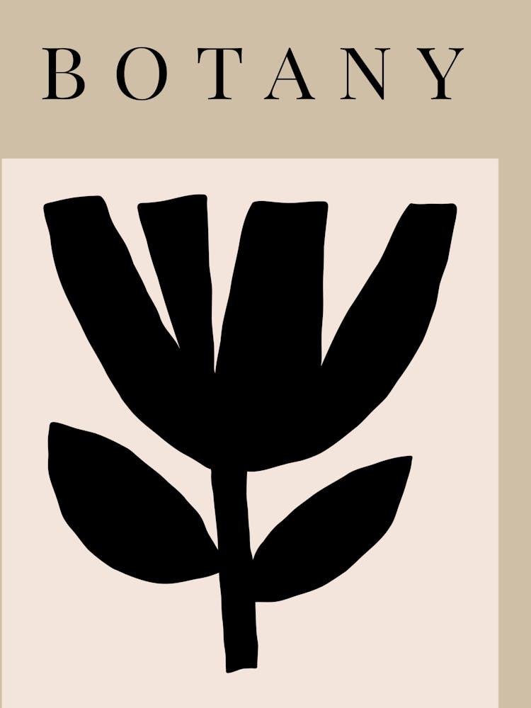 Delicate line no 23