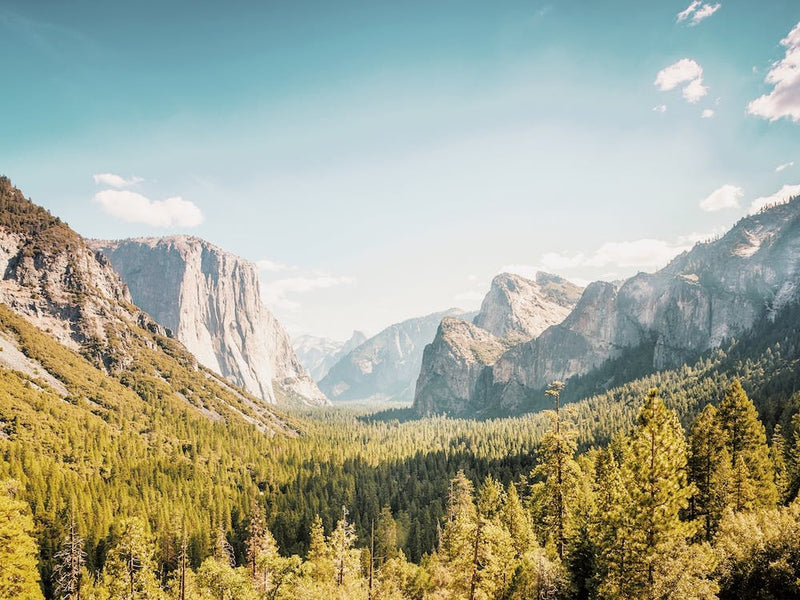 Sunny Yosemite Day