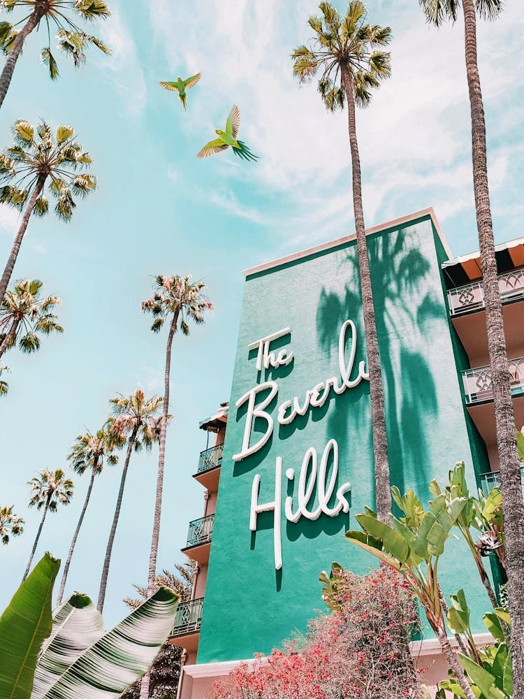 The Beverly Hills Hotel