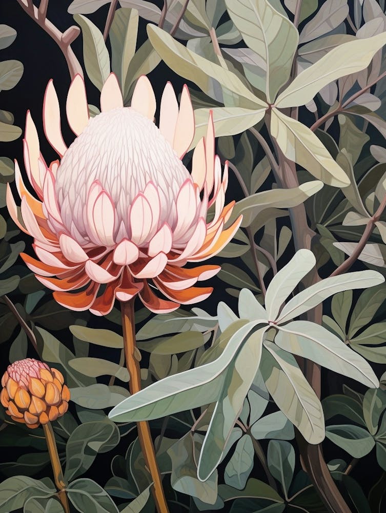 Flower Illustration Protea 1