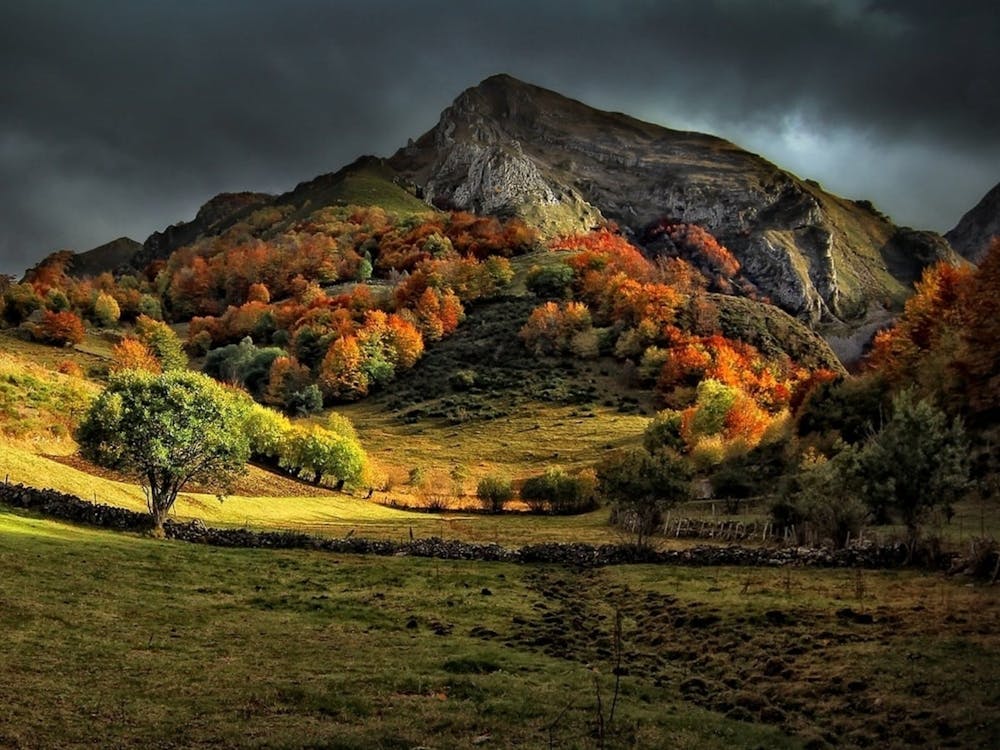 Autumn In The Mountains