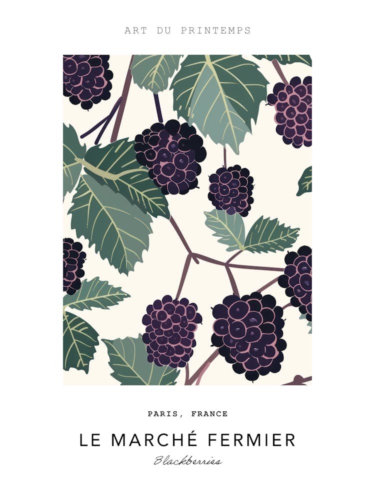 Blackberries Le Marche Fermier Poster 1