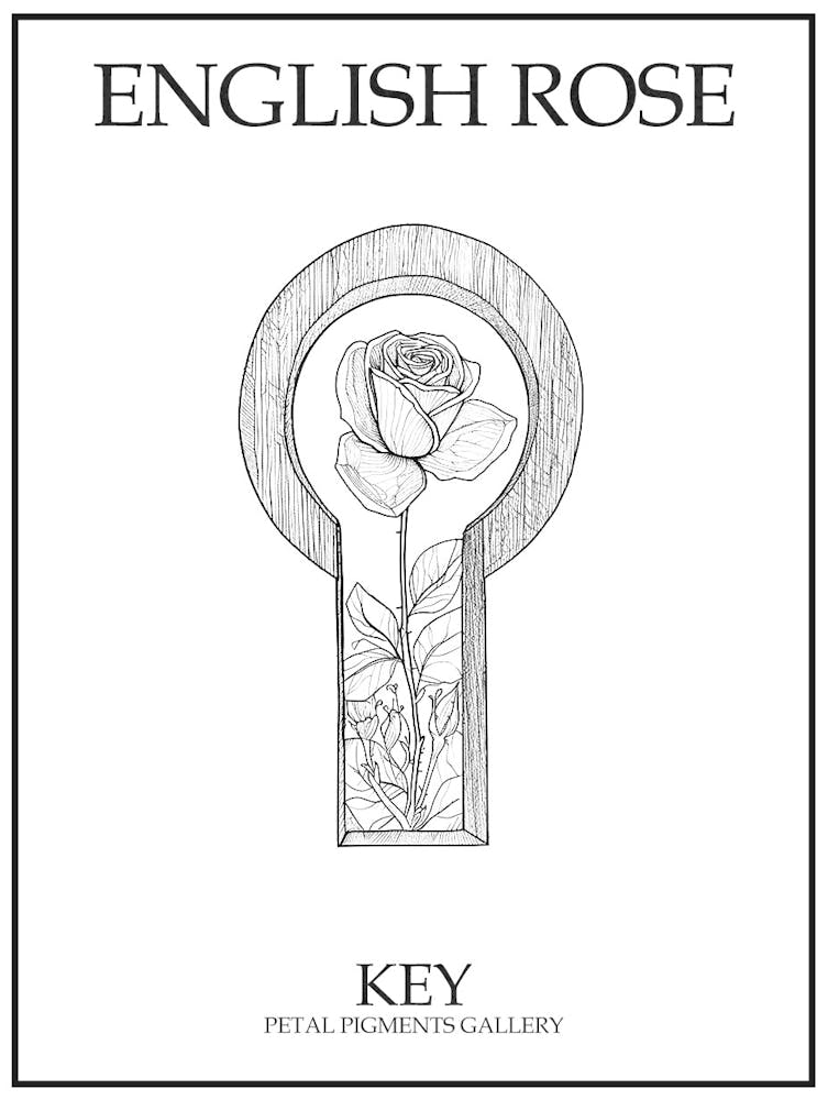 English Rose Key Line Drawing 4 Poster
