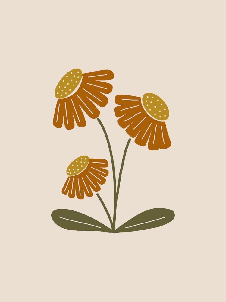 Dahlias