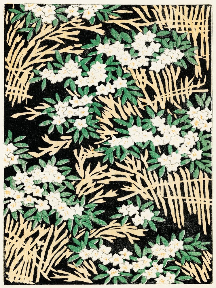 Forest Illustration From Bijutsu Sekai