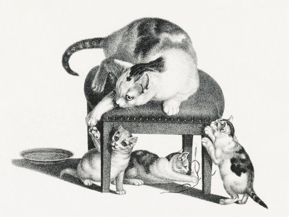 Three Playful Kittens Vintage
