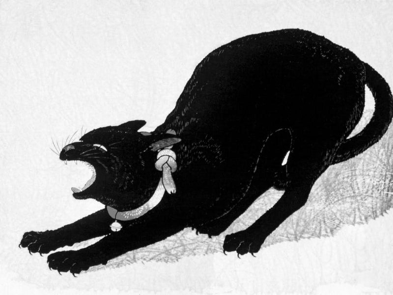 Black Cat 2
