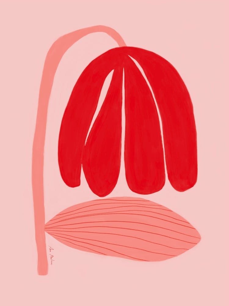 Pink flower