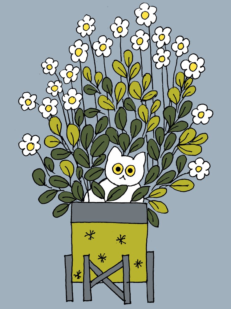 Schöne Weiße Katze In Einem Großen Grünen Blumentopf