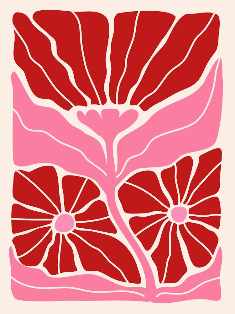 Pink And Red Wavy Flower