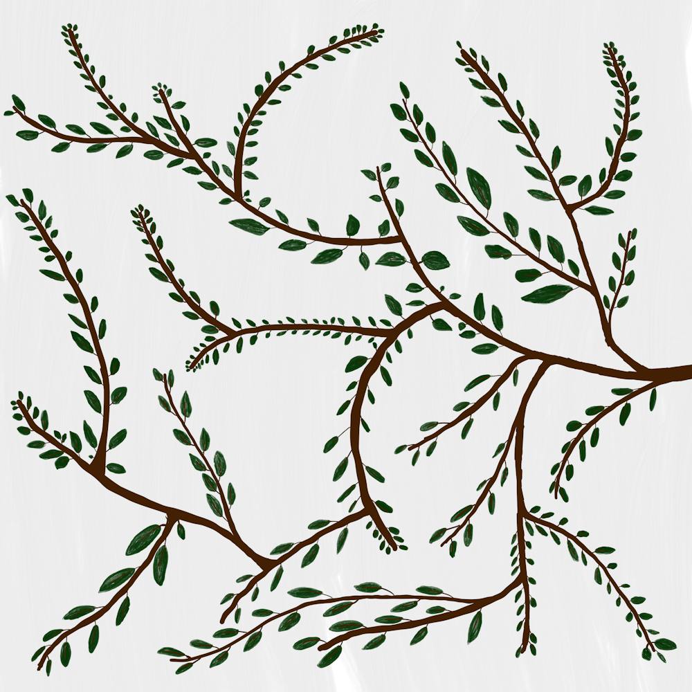 Every Leaf is Unique