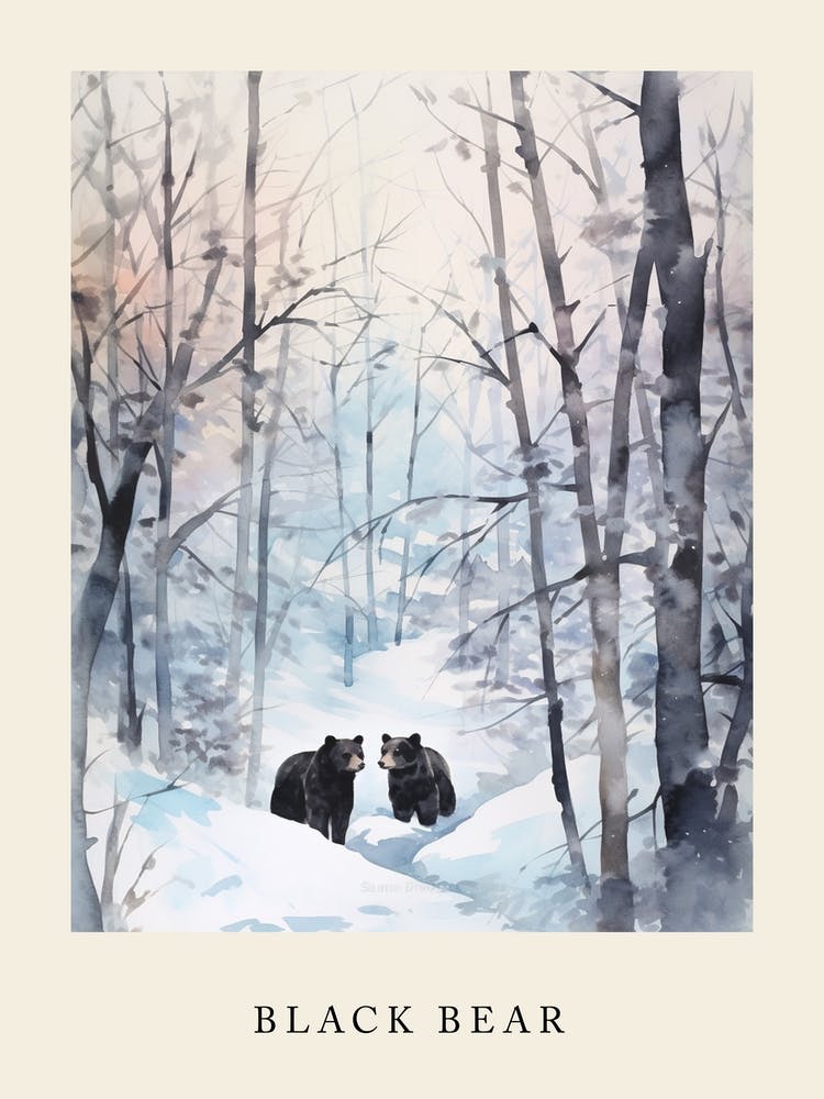 Winter Watercolour Black Bear 5 Poster