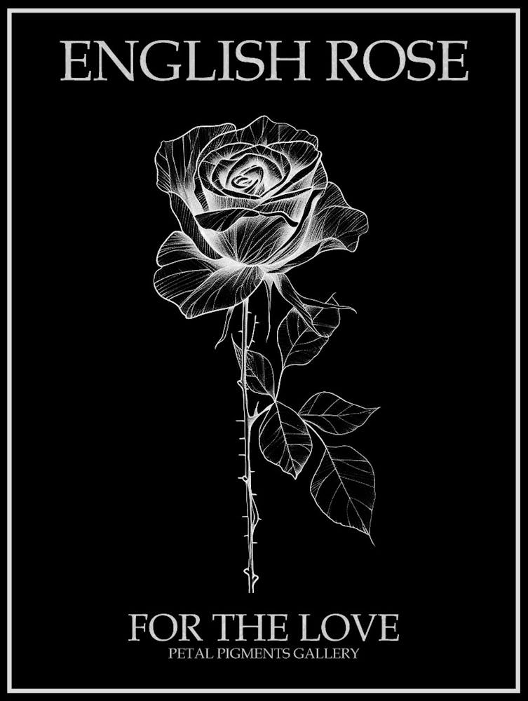 English Rose Black And White Line Drawing 17 Poster Inverted