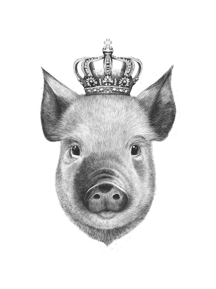 The King Pig