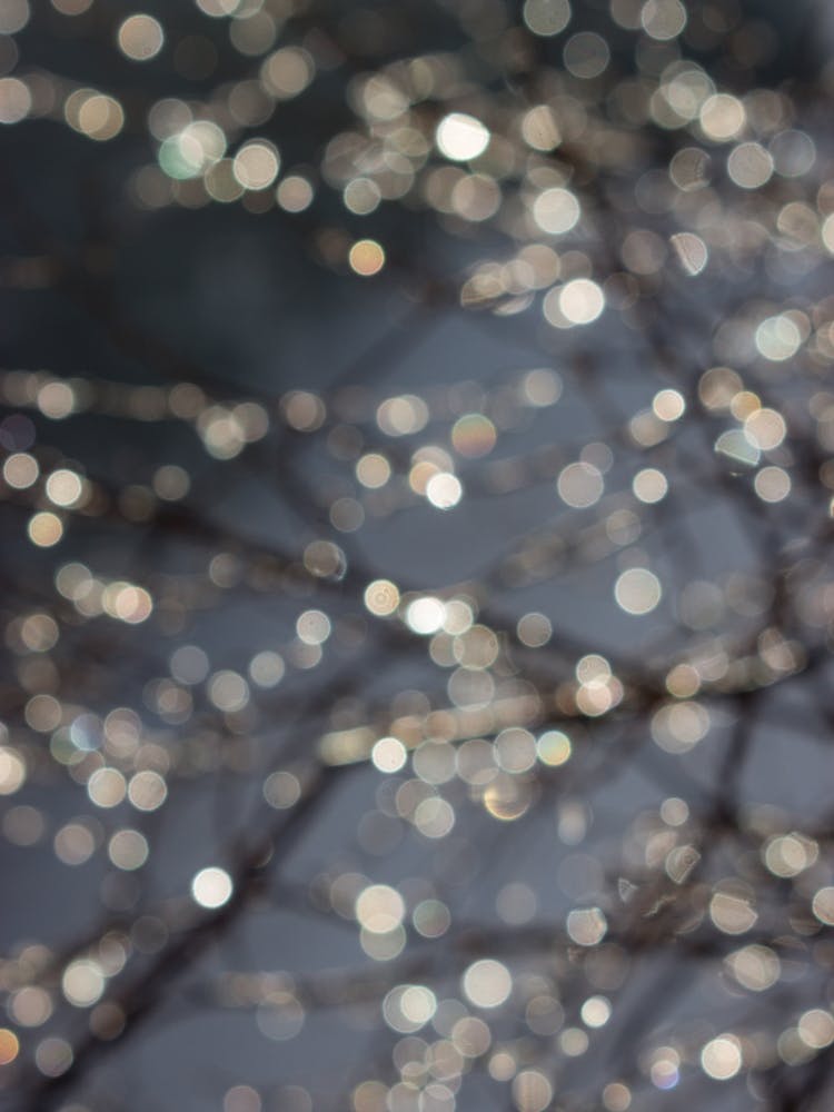 Midnight Christmas Sparkle