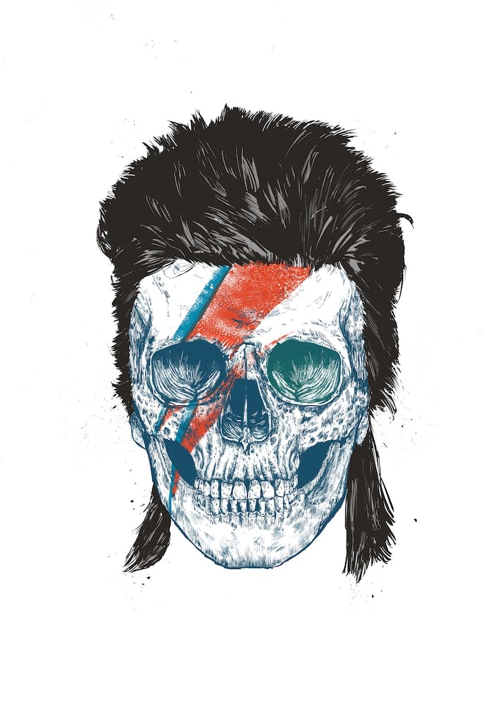 Bowie's Skull