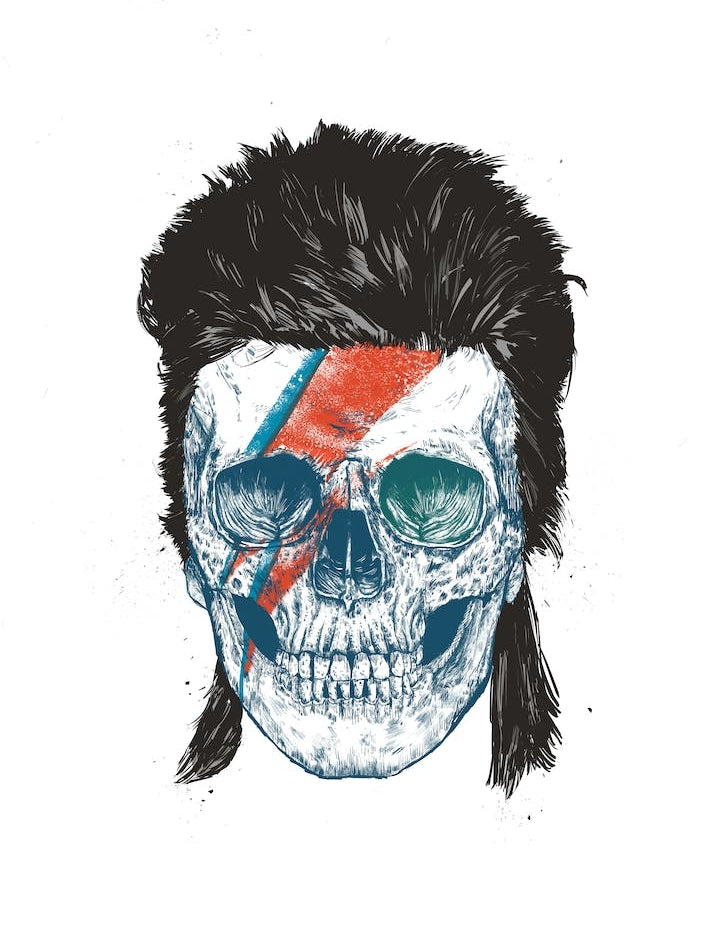 Bowie's Skull