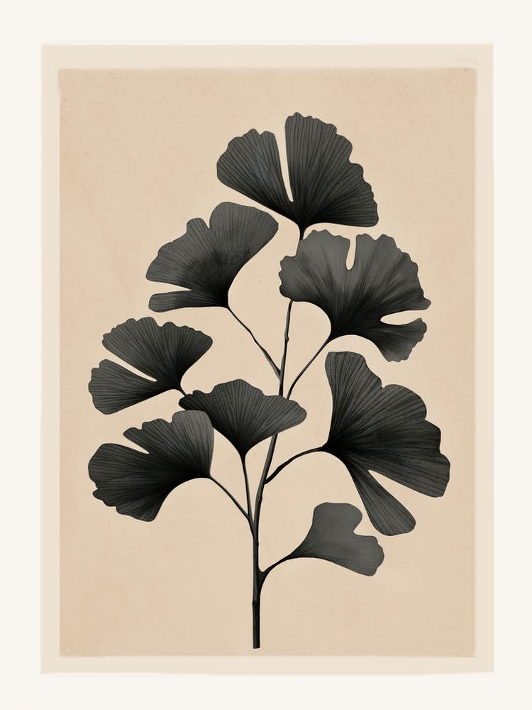 Branch Of Ginkgo Biloba 1