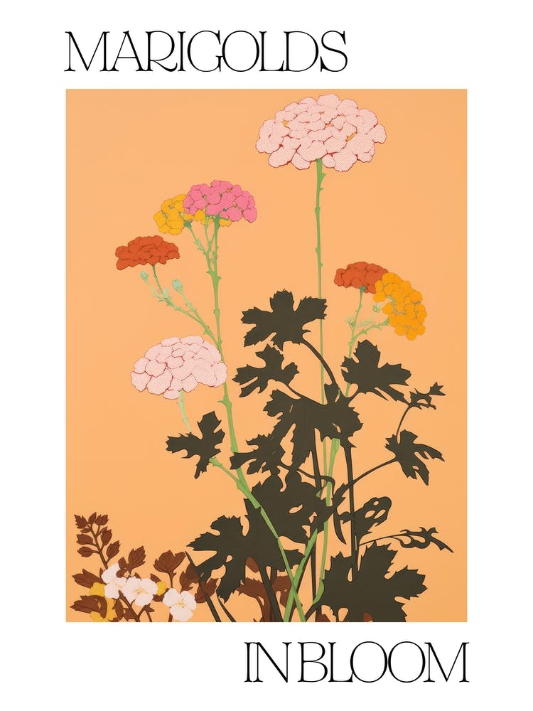 Marigolds In Bloom Flowers Bold Illustration 3