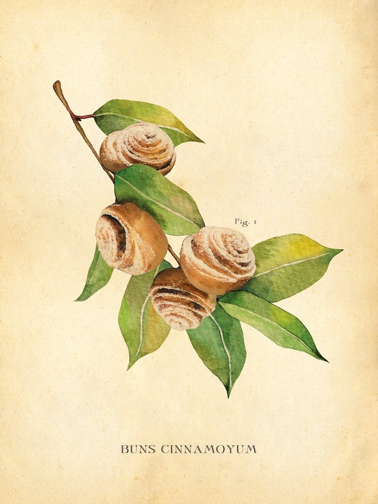 Cinnamon Rolls