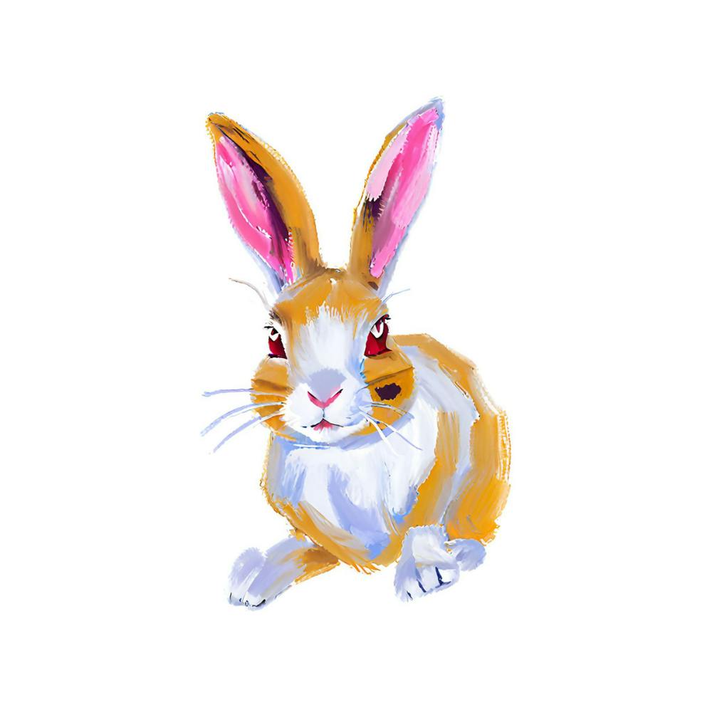 Rex Rabbit 01