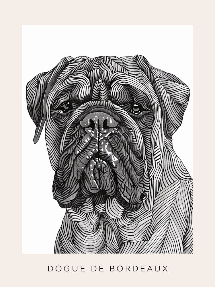Dogue De Bordeaux Line Sketch 1 Poster