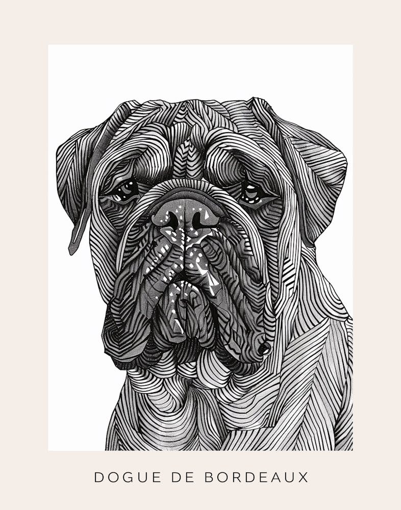 Dogue De Bordeaux Line Sketch 1 Poster