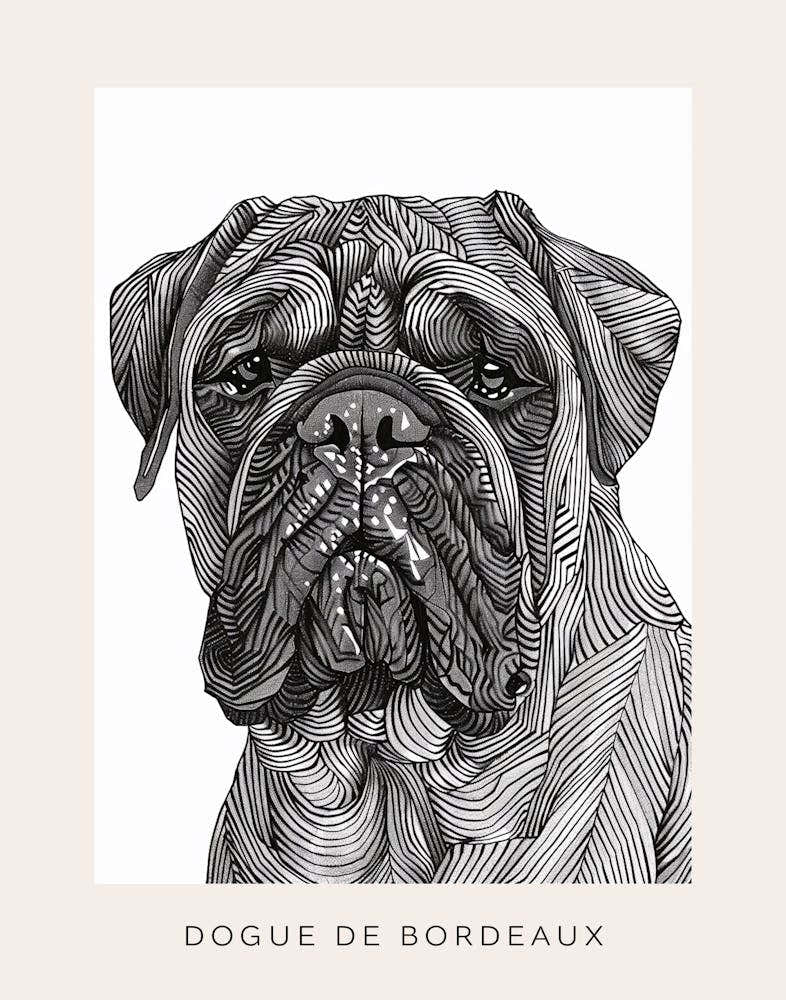 Dogue De Bordeaux Line Sketch 1 Poster
