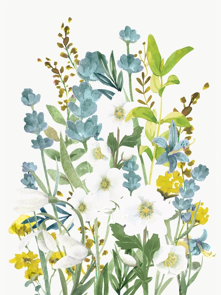 Wildflowers 1