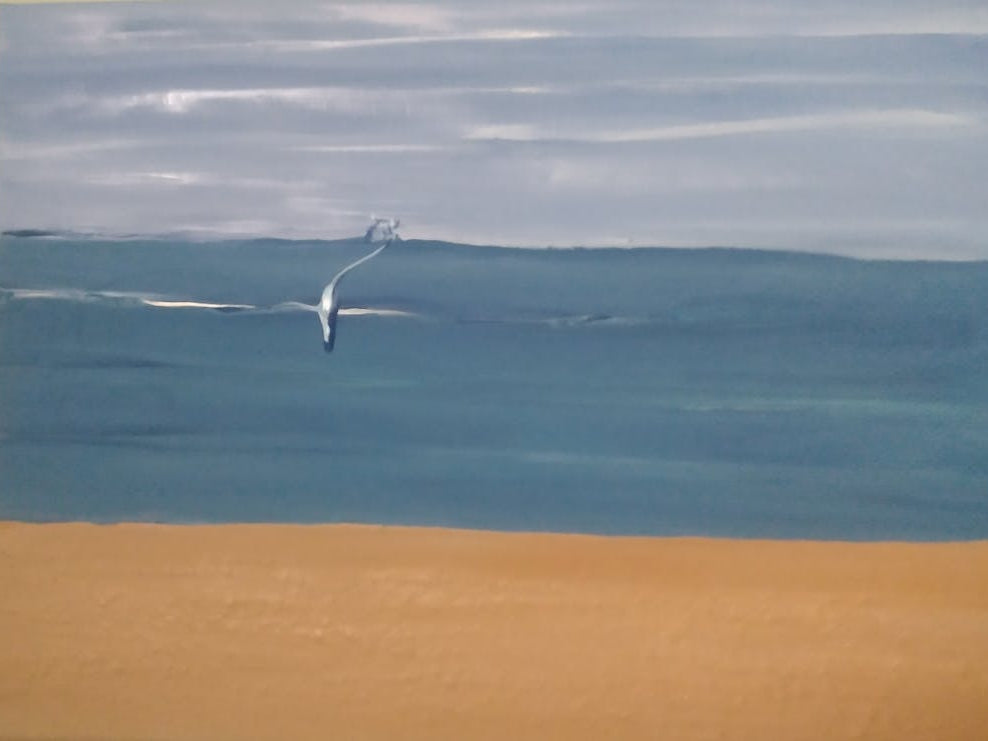 Img 20240323 021723417