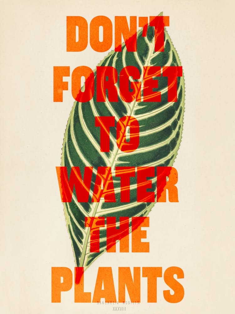 Don't Forget To Water The Plants 2