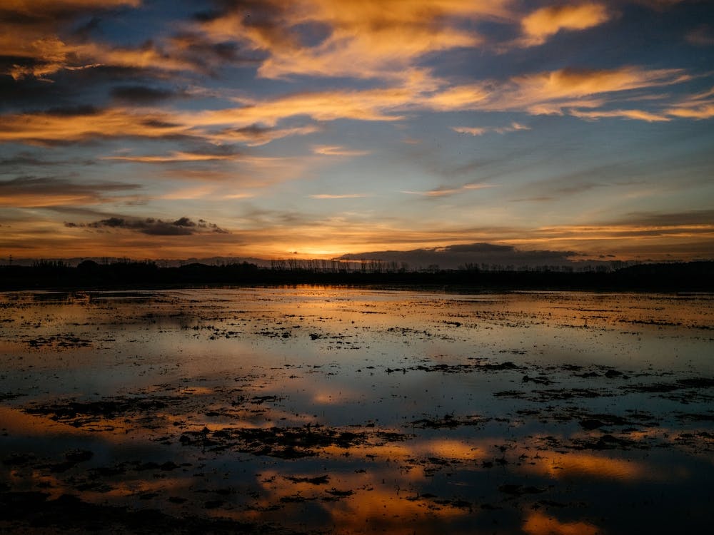 Sunrise In The Meadowlands 2, Portugal